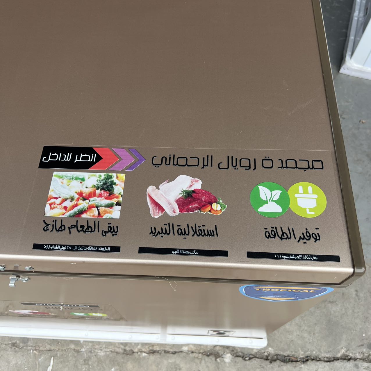 320L Horizontal Deep Freezer,  – Commercial Chest Freezer recenzja i cena