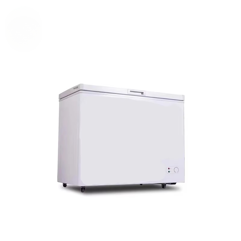 100~300 Liters Small Capacity  – Commercial Chest Freezer recenzja i cena