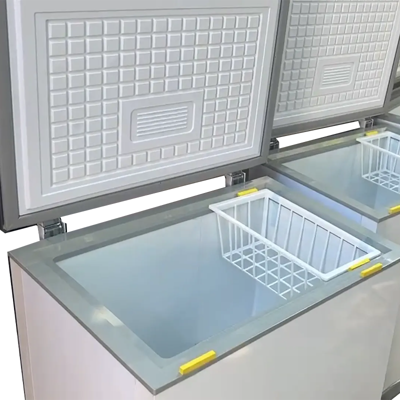 100~300 Liters Small Capacity  – Commercial Chest Freezer recenzja i cena